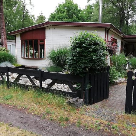 Sfeervol, Ruim En Luxe Chalet In Bosrijke Omgeving Diessen Exterior photo