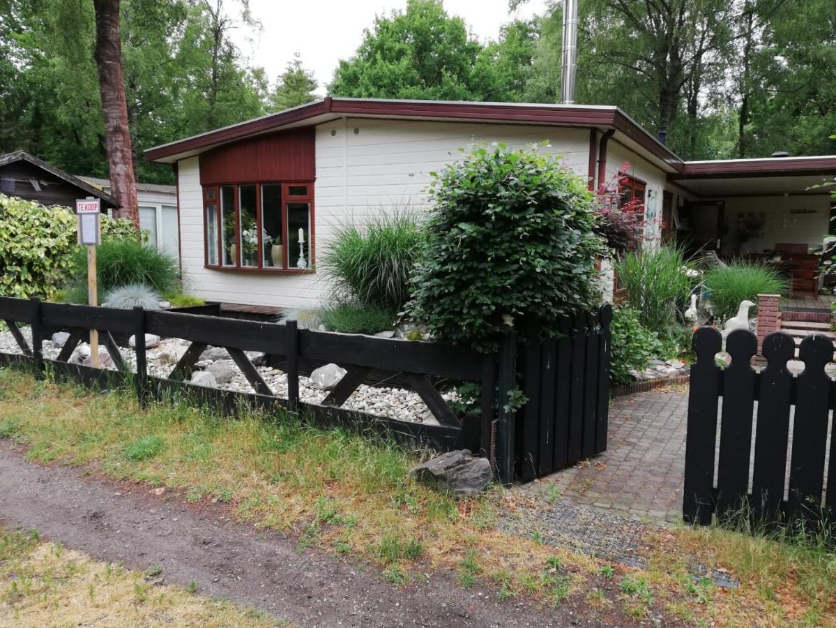 Sfeervol, Ruim En Luxe Chalet In Bosrijke Omgeving Diessen Exterior photo